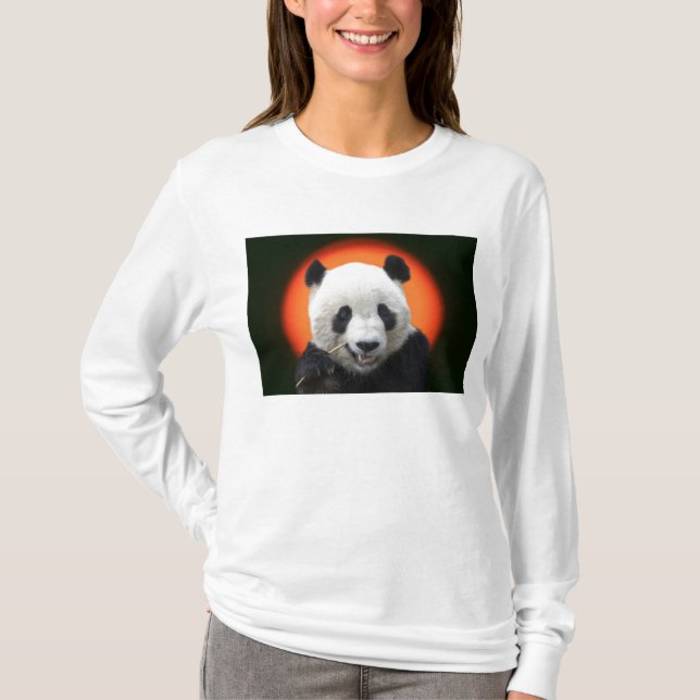 TAI-SHAN T-SHIRT (Framsida)