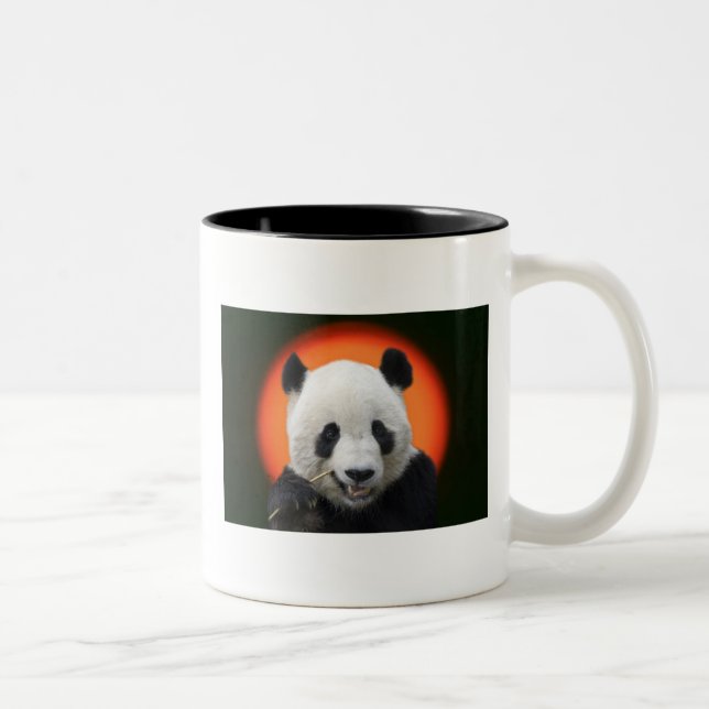 TAI-SHAN Två-Tonad MUGG (Höger)