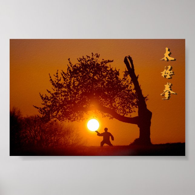 Taichi (taiji), arbre cerisier soleil couchant poster (Framsidan)