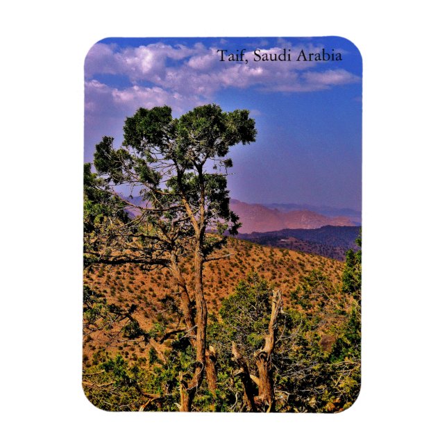 Taif, Saudiarabien Magnet (Vertikal)