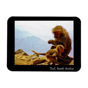 Taif, Saudiarabien Magnet