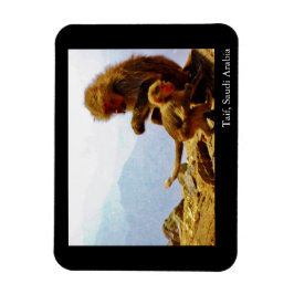 Taif, Saudiarabien Magnet