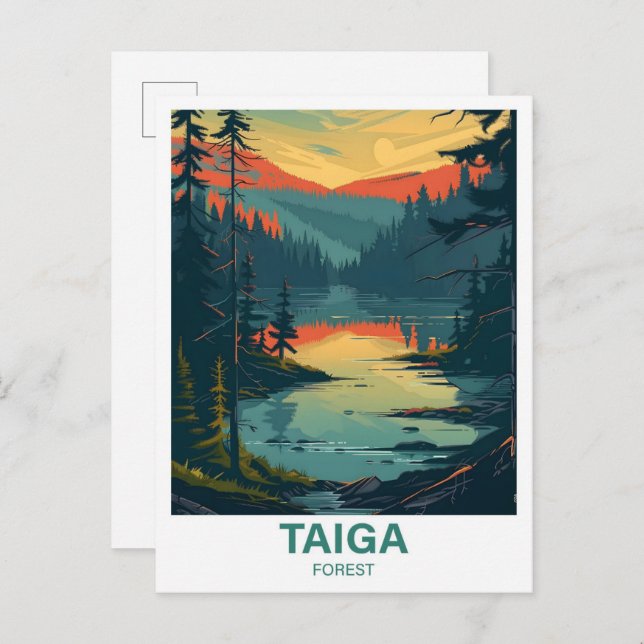 Taiga Forest Illustration Travel Vykort (Fram/baksida)