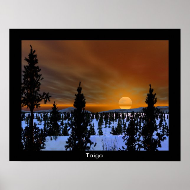 Taiga Poster (Framsidan)