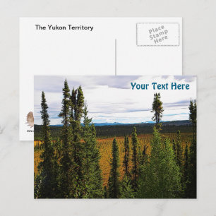Taiga sommar vykort