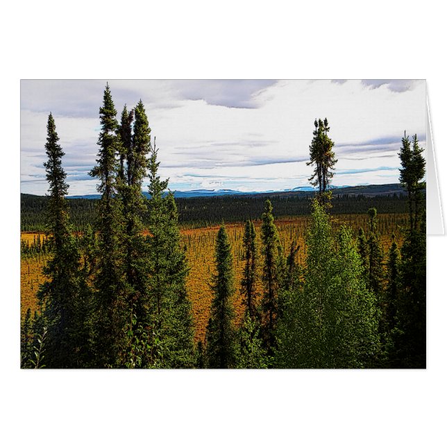 Taiga Summer Hälsningskort (Framsidan Horizontal)