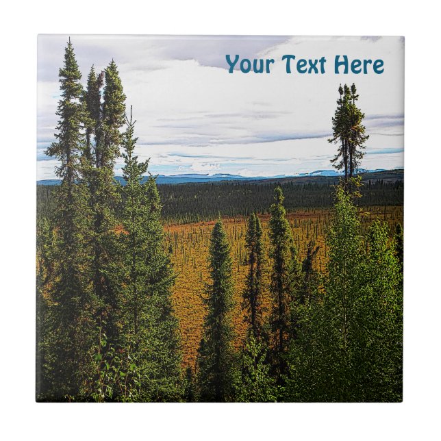 Taiga Summer Kakelplatta (Framsidan)