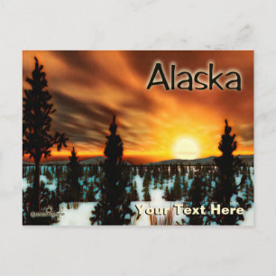 Taiga Sun - Alaska Vykort