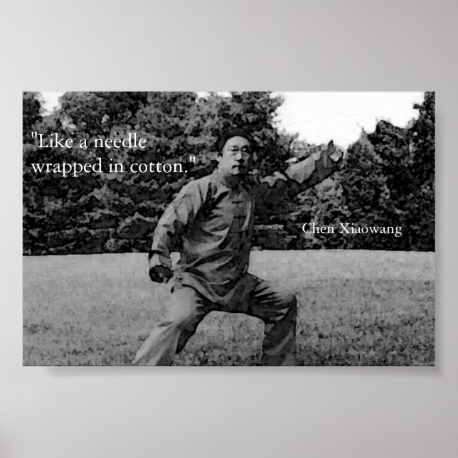 Taiji Poster (Framsidan)