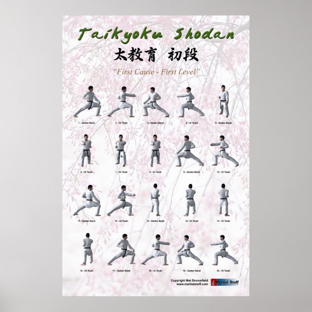 Taikyoku Shodan - First Kata Poster (Framsidan)