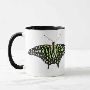 Tailed Jay grön och svart fjärilsmålning Mugg