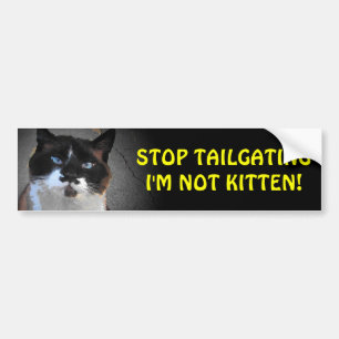 Tailgate, jag är inte Kitten Bildekal