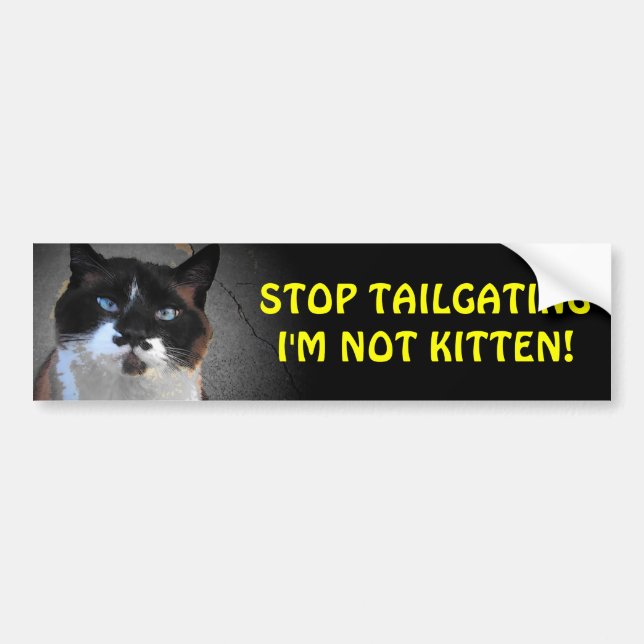Tailgate, jag är inte Kitten Bildekal (Framsidan)