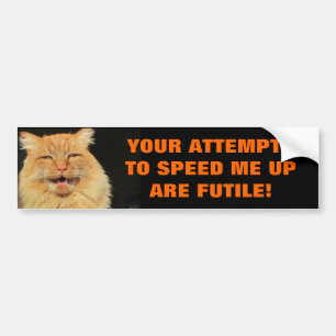 Tailgaters försök är den fruktlösa katten Meme Bildekal