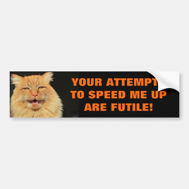 Tailgaters försök är den fruktlösa katten Meme Bildekal (Framsidan)