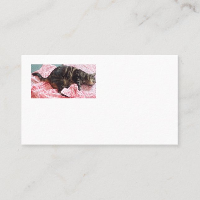 Tailor Dave American Affärskorts Visitkort (Framsida)