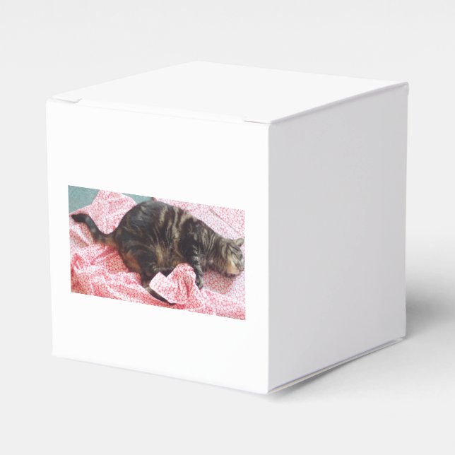 Tailor Dave Favor Box Presentaskar (Framsidan Sidan)