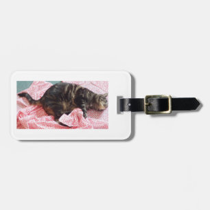 Tailor Dave Luggage Tag Bagagebricka