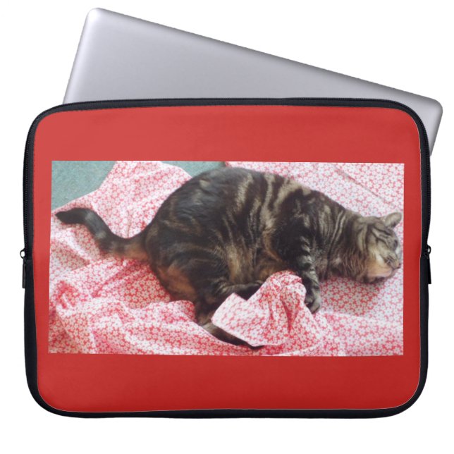 Tailor Dave Neoprene Laptop sleeve (Framsidan)