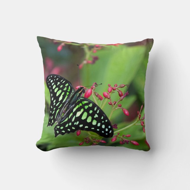 Tails Jay Butterfly Kudde (Framsida)