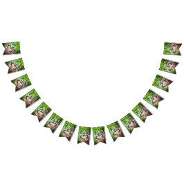 Taino Coqui Frog Flagga