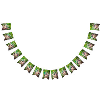 Taino Coqui Frog Flagga