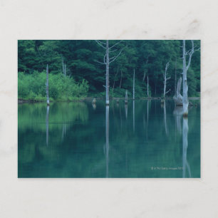 Taisho Pond Vykort