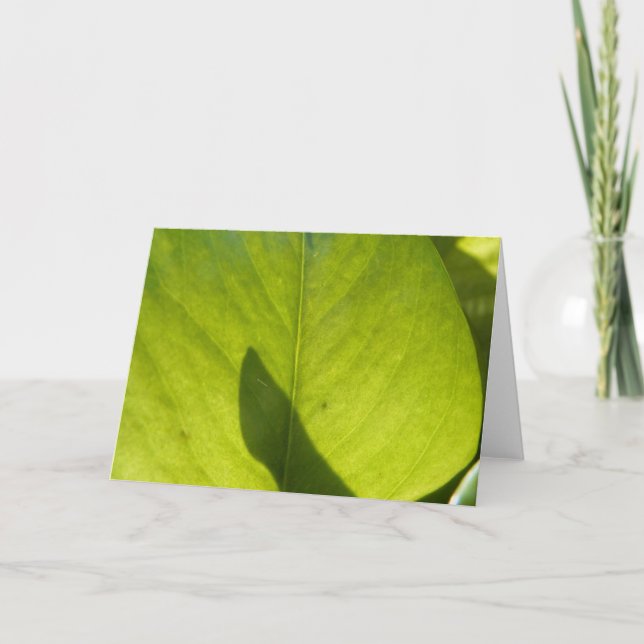 Taiwan Flora Löv Kort (Framsida)