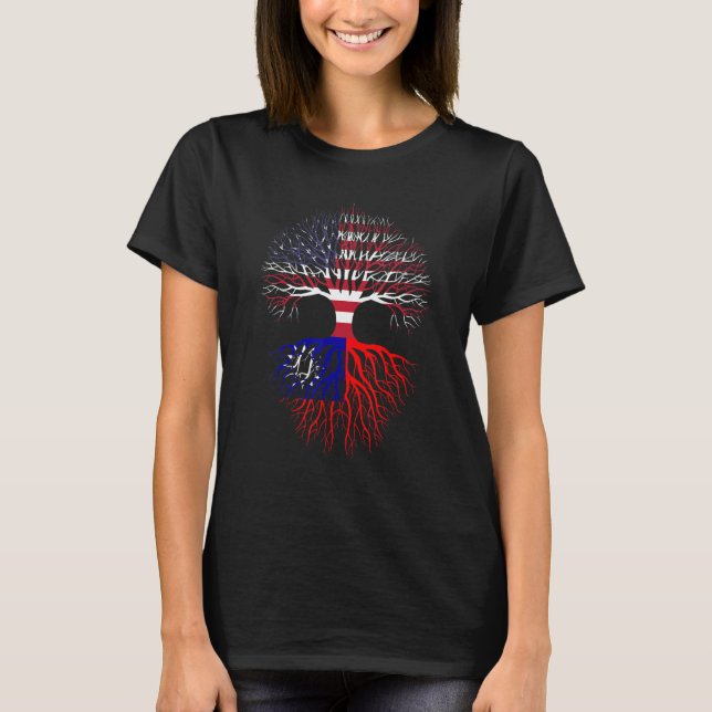 Taiwanesiska rötter förfäders immigrant patriotisk t shirt (Framsida)