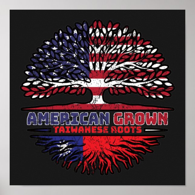 Taiwanesiska Taiwan Förenta staterna Förenta state Poster (Framsidan)