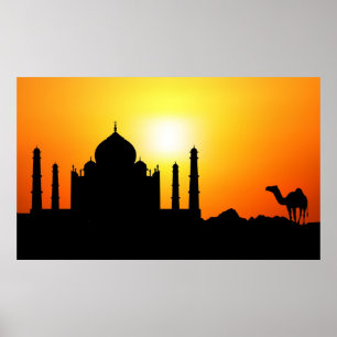 Taj Mahal & kamel på solnedgångbakgrund Poster