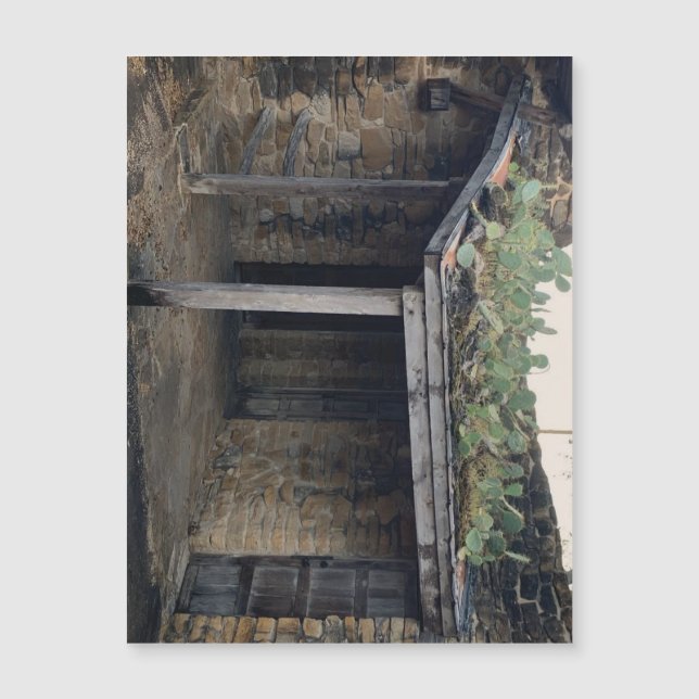 Tak Cactus magnet (Framsida)