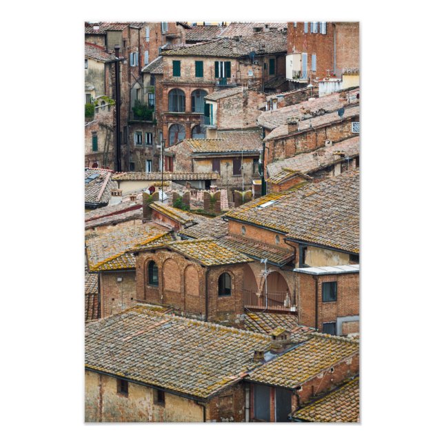 Tak i lodrät Siena fotoskrift Fototryck (Framsidan)