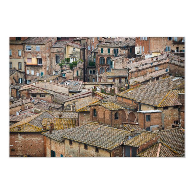 Tak i Siena-fotoutskrift Fototryck (Framsidan)