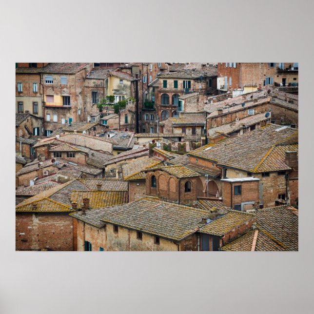 Tak i Siena poster utskrift (Framsidan)