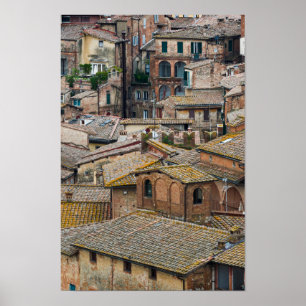 Tak i Siena vertikalt affischtryck Poster