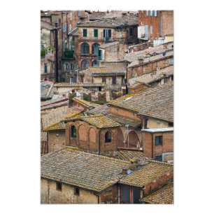 Tak i Siena vertikalt fototryck