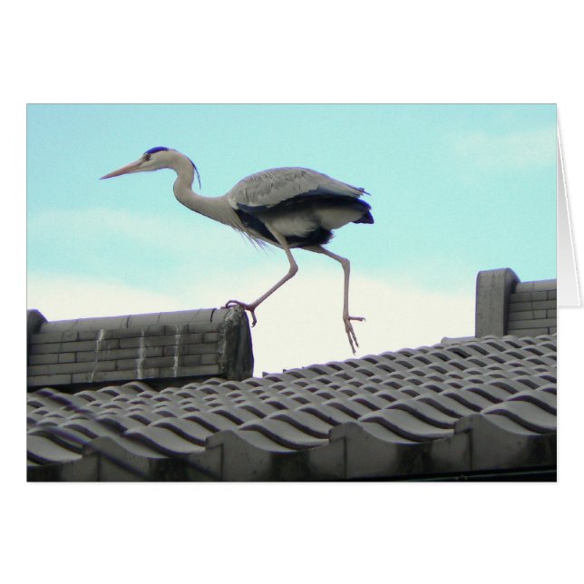 Tak Springer Hälsningskort (Framsidan Horizontal)