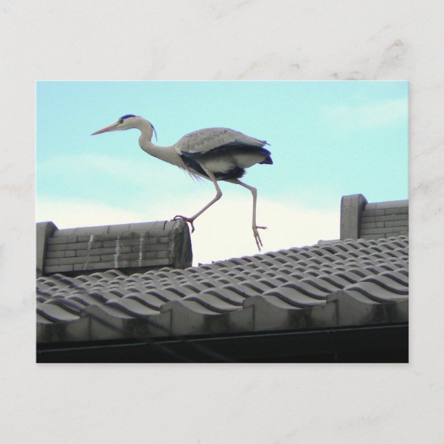 Tak walker vykort (Framsida)