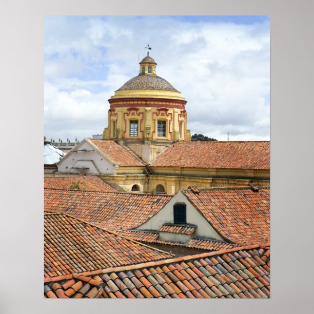 Takbutiker i Bogota Poster (Framsidan)