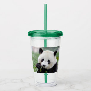 Take away mugg i akryl. Fotogigantisk panda, panda