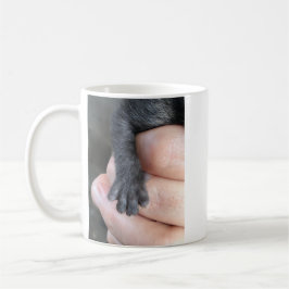 Take Care Of Me, Kitten Coffee Mug Kaffemugg
