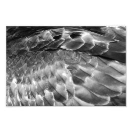 Take Flight Fototryck