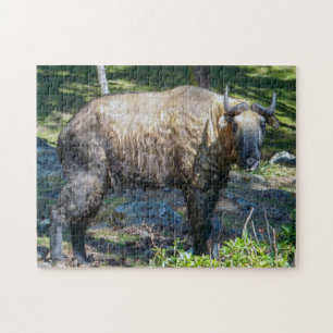 Takin, nationellt djur av Bhutan-Himalaya, Asien Pussel