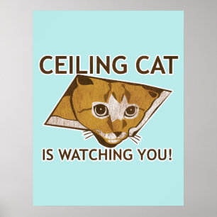 Takkattaffisch Poster