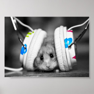 Takter för Dr Dre Poster