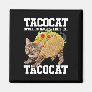 Takto Cat-kurvformade bakåt är takocat Memb-Fånig Magnet