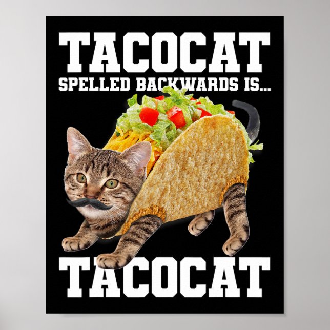 Takto Cat-kurvformade bakåt är takocat Memb-Fånig  Poster (Framsidan)