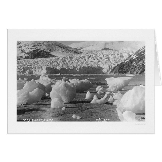 Taku Glacier Alaska 1914 Hälsningskort (Framsidan Horizontal)