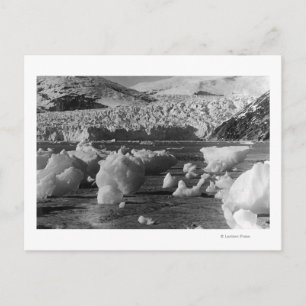Taku Glacier nära Juneau, Alaska Photograph Vykort